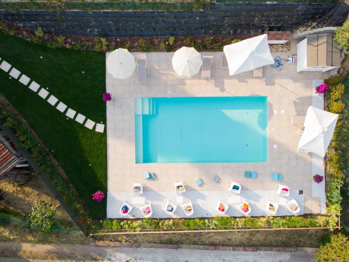 ForcoliLa Casa Delle Rondiniアパートメント エクステリア 写真